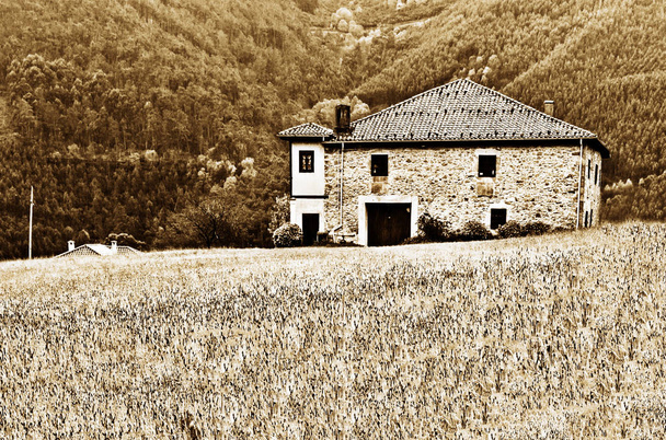 Pajaresin kylä Asturias, Espanja
 - Valokuva, kuva