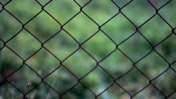 videó a rozsdás háló kerítés - Felvétel, videó