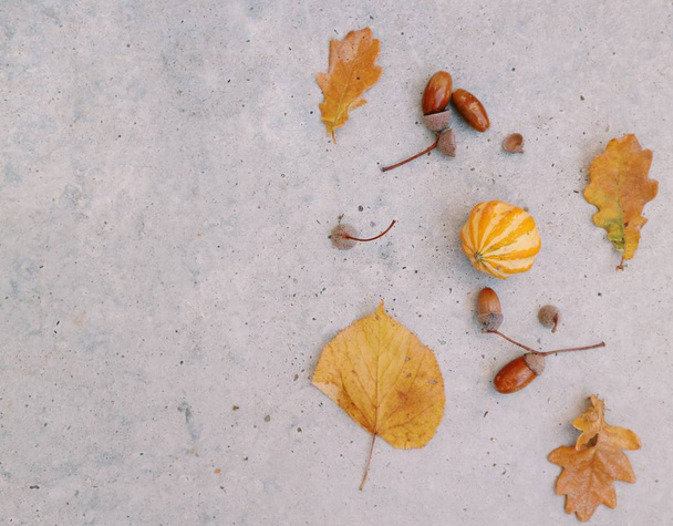 small fresh pumpkin with autumn leaves and acorns on concrete surface - Photo, Image
