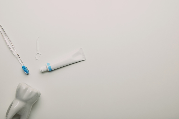 Плоский укладка с моделью зубов, зубной нитью, зубной щеткой и пастой расположение на белом фоне, стоматологическая концепция ухода
 - Фото, изображение