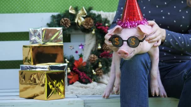 Bir kız dizlerinin üzerinde bir domuz Noel geyik boynuzları ve güneş gözlüğü tutuyor - Video, Çekim