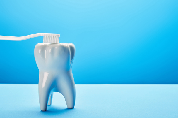 vista de cerca del modelo de diente y cepillo de dientes sobre fondo azul, concepto de odontología
 - Foto, Imagen