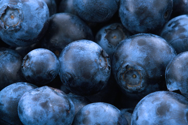 Blueberries - Φωτογραφία, εικόνα