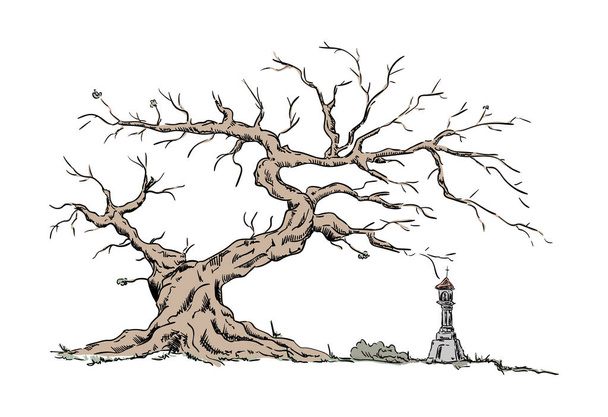 vector - Big old tree and Chapel - isolated on background - Vector, Image