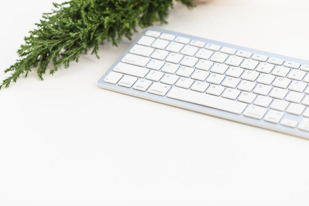 White keyboard and small christmas tree on white background. Template for blogging - Fotoğraf, Görsel