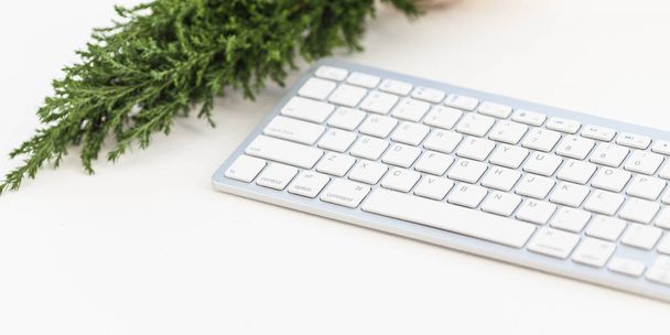 白いキーボードと白い背景上に小さなクリスマス ツリー。ブログ用テンプレート - 写真・画像