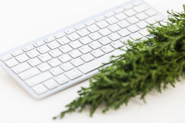 White keyboard and small christmas tree on white background. Template for blogging - Fotó, kép