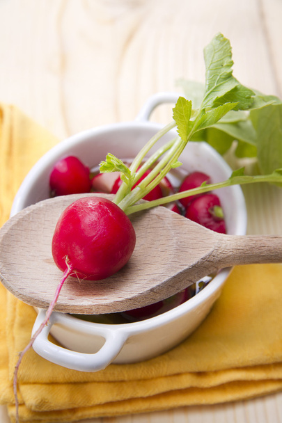 product from the garden, fresh radish - Foto, afbeelding