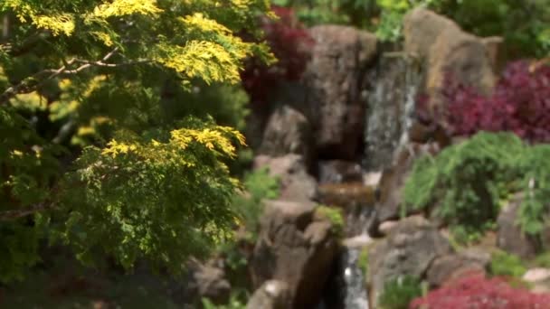Pequeña cascada en un parque
 - Metraje, vídeo