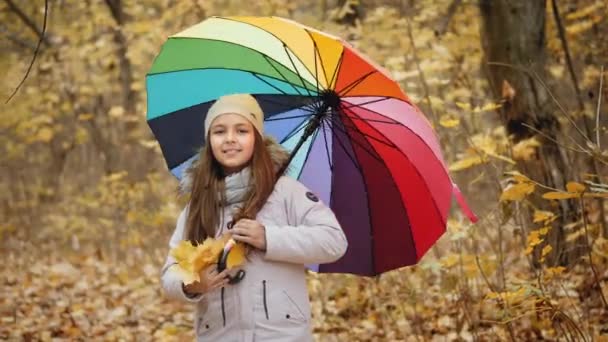 Dziewczyna idzie z parasolką w lesie jesienią - Materiał filmowy, wideo