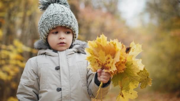 Χαριτωμένο μικρό αγόρι που κατέχουν ένα μπουκέτο του φθινοπώρου φύλλα - Πλάνα, βίντεο