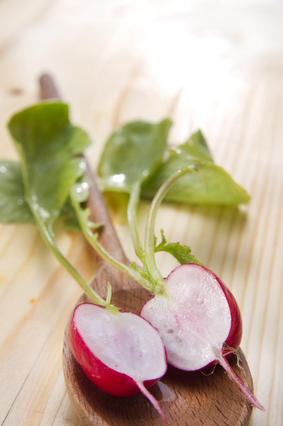 product from the garden, fresh radish - Photo, image