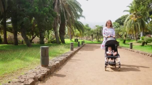 Мама прогулянки на лавці в парку з palm дерева дитини, сидячи в інвалідному візку і сміятися - Кадри, відео