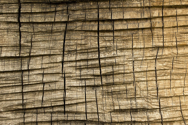 Cracked wooden surface background - Фото, зображення
