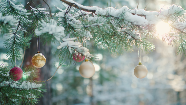 Hermosa rama del árbol de Año Nuevo, decorado con juguetes de colores
 - Imágenes, Vídeo