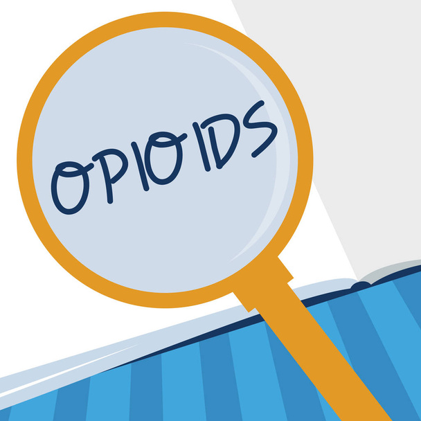Uwaga: pisanie Wyświetlono opioidów. Biznesowe zdjęcie prezentujący klasy leków, które zawierają nielegalnej heroiny maku roślin - Zdjęcie, obraz