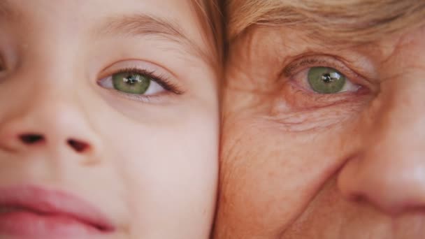 Close up portrait of grandmother and granddaughter. Green eyes - Footage, Video