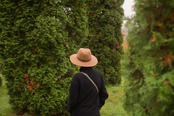 woman in hat walking alone in the beautiful autumn park - Фото, изображение