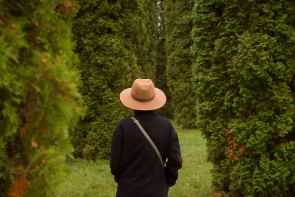 woman in hat walking alone in the beautiful autumn park - Fotoğraf, Görsel
