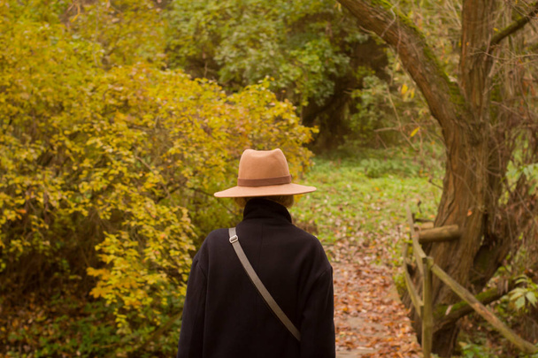 donna in cappello che cammina da sola nel bellissimo parco autunnale
 - Foto, immagini