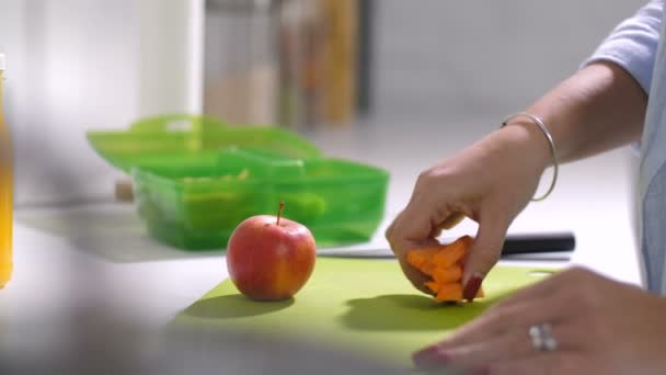 Mother packing meal for school lunch into box - Footage, Video