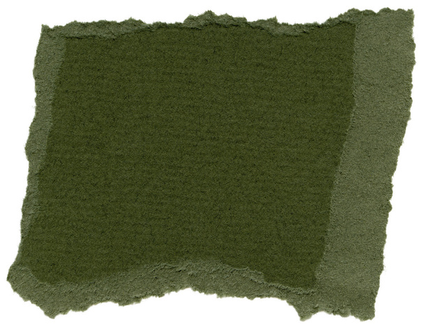 Изолированные текстуру бумаги волокна - темный оливково-зеленый XXXXL - Фото, изображение