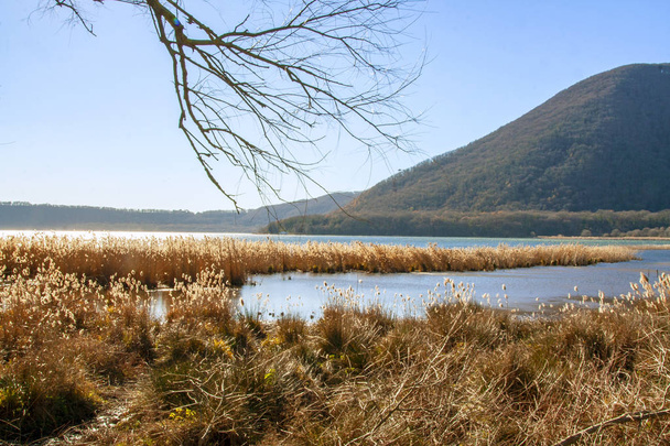 natural reserve of lake Vico, Viterbo, Lazio Italy - Photo, Image