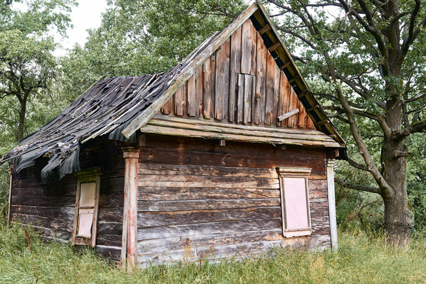 starý dřevěný dům v lese - Fotografie, Obrázek