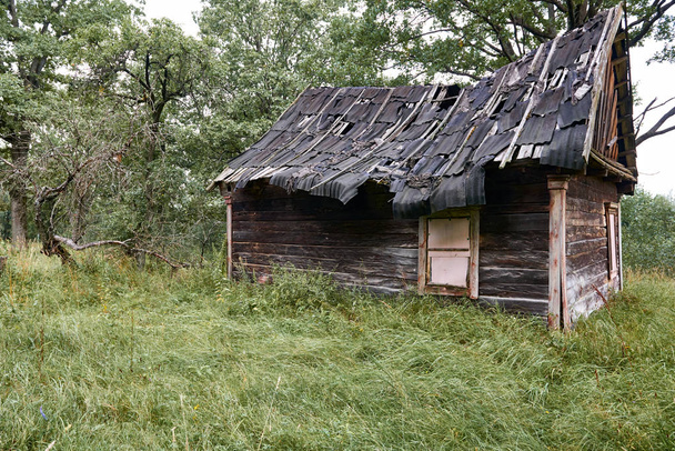 vecchia casa in legno nel bosco - Foto, immagini