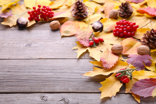 Autumn leaves with berries on a grey table. Thanksgiving day - Photo, Image