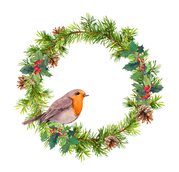 Christmas wreath, robin bird. Christmas watercolor illustration - Valokuva, kuva