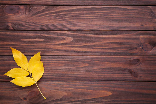 Foglia di autunno con bacche su un tavolo marrone. Giorno del Ringraziamento
 - Foto, immagini