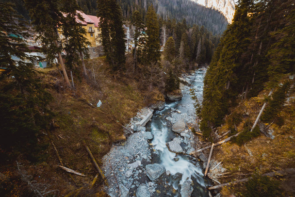 流れる川と倒木 - 写真・画像