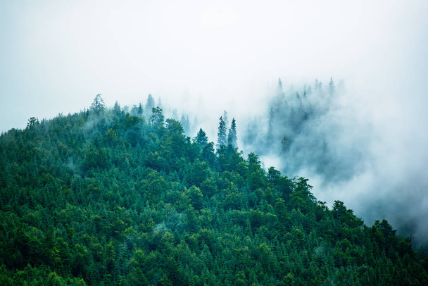 Misty mountain landscape - Φωτογραφία, εικόνα