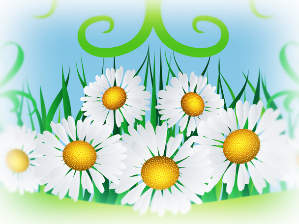 Daisies and ribbon - Фото, изображение