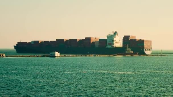 Tengeri rántás, a háttérben egy lebegő nagy teherhajó. - Felvétel, videó