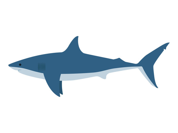 Vector illustration dangerous great white shark - ベクター画像