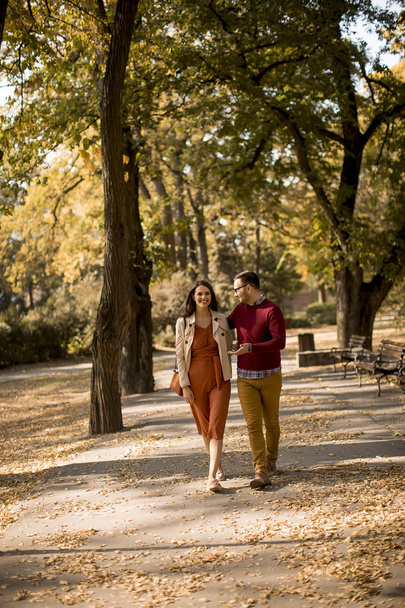Lovely young couple walking in the autumn park - Valokuva, kuva