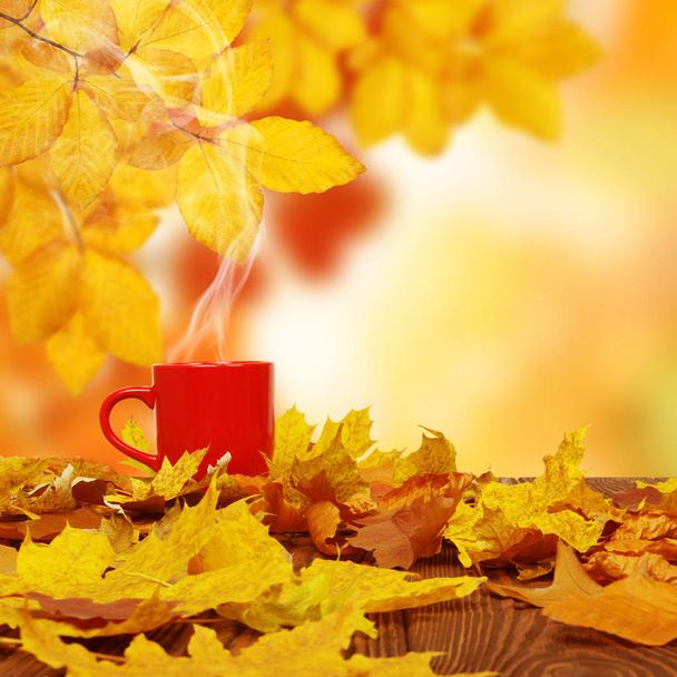 Feuilles d'automne et tasse de café rouge sur les arbres flous du soleil. Fond d'automne. - Photo, image