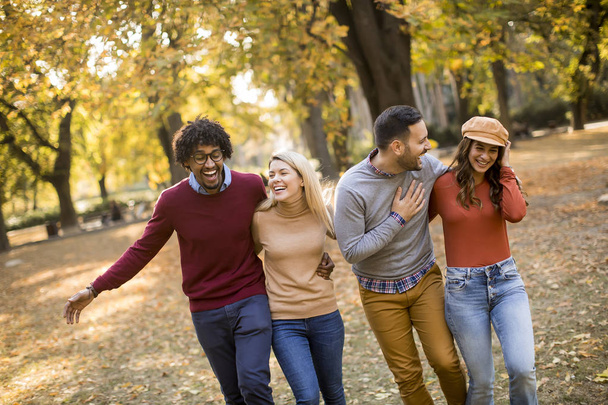 Jóvenes multiraciales caminando en el parque otoñal y divirtiéndose
 - Foto, imagen