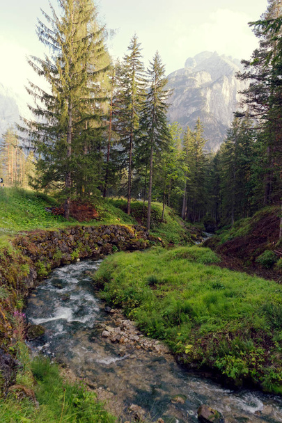 hegyi folyó az erdőben. gyönyörű hely - Fotó, kép