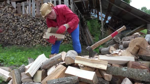 Farmář člověk vybrat dřevo nasekané v krovu a zásobníku poblíž dřevník. 4k - Záběry, video
