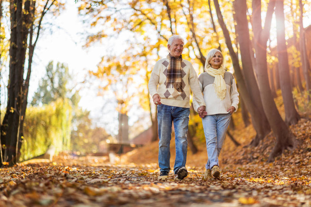 Senior couple in autumn park - Фото, изображение