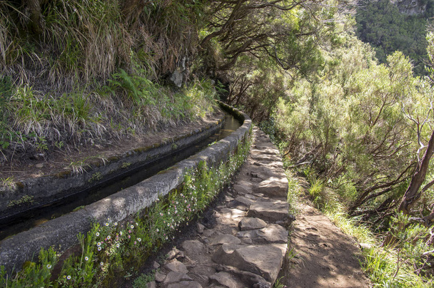 Levada das 25 fontes, irrigation canal detail view, touristic hiking trail, Rabacal, Madeira island, Portugal - Foto, afbeelding