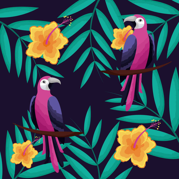 trópusi természetes tukánok hibiszkusz hagy vektoros illusztráció - Vektor, kép