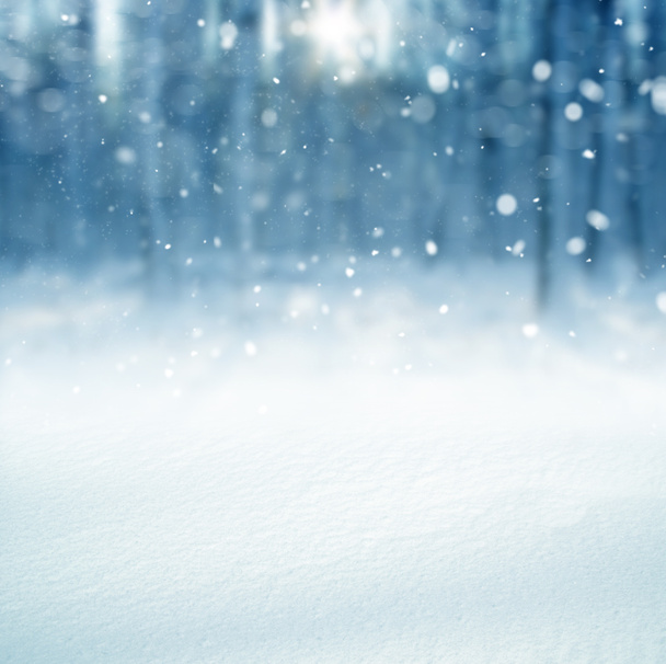 Zimní pozadí pádu sněhu Zimní krajina s kopií prostor - Fotografie, Obrázek