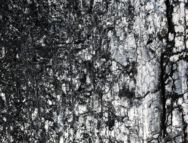 Black coal background - Фото, изображение