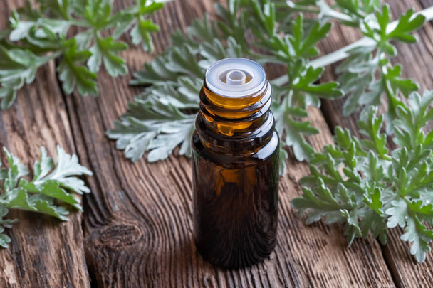 Una bottiglia scura di olio essenziale di assenzio con pianta fresca di Artemisia Absinthium
 - Foto, immagini