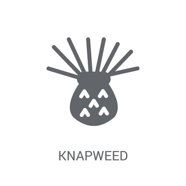 Icono de Knapweed. Concepto de logotipo de moda de Knapweed sobre fondo blanco de la colección Nature. Adecuado para uso en aplicaciones web, aplicaciones móviles y medios impresos
. - Vector, Imagen