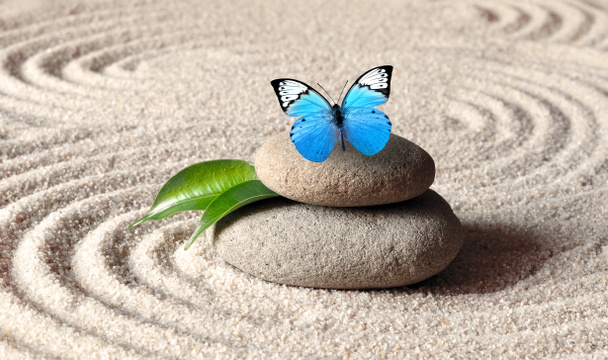 Una farfalla blu vivida su una pietra zen con motivi circolari nella sabbia granulare
. - Foto, immagini